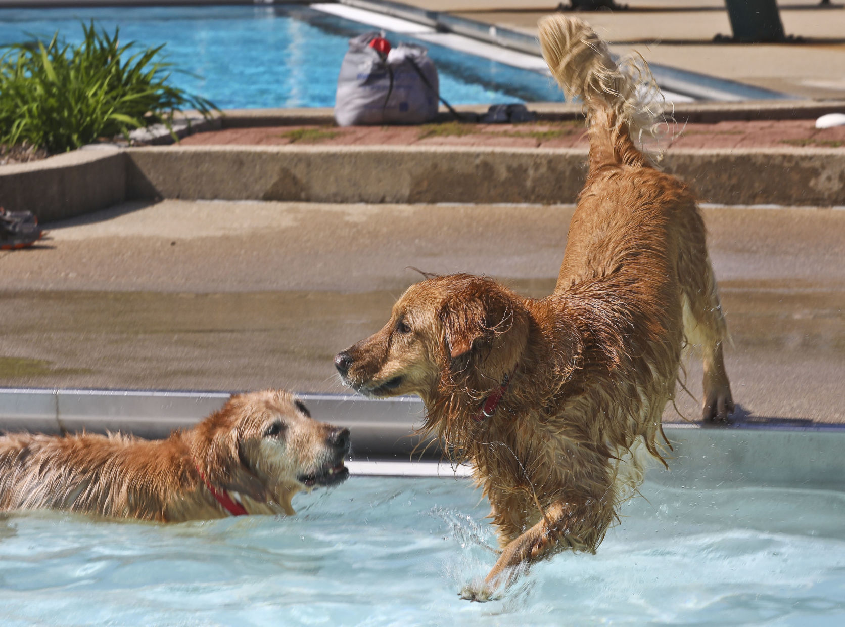 Pool Party 34 09.07.19.JPG